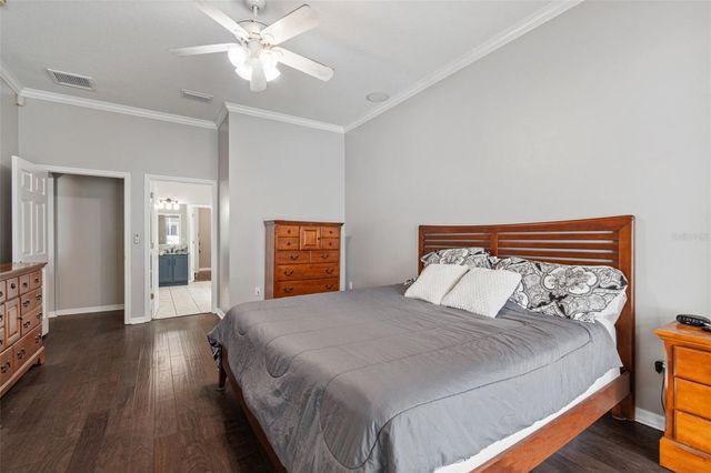 10243 SHADOW BRANCH DRIVE, Tampa, FL 33647