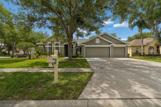10243 SHADOW BRANCH DRIVE, Tampa, FL 33647