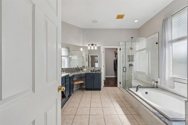 10243 SHADOW BRANCH DRIVE, Tampa, FL 33647