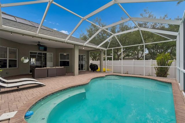 10243 SHADOW BRANCH DRIVE, Tampa, FL 33647