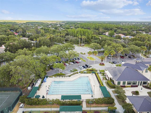 10243 SHADOW BRANCH DRIVE, Tampa, FL 33647