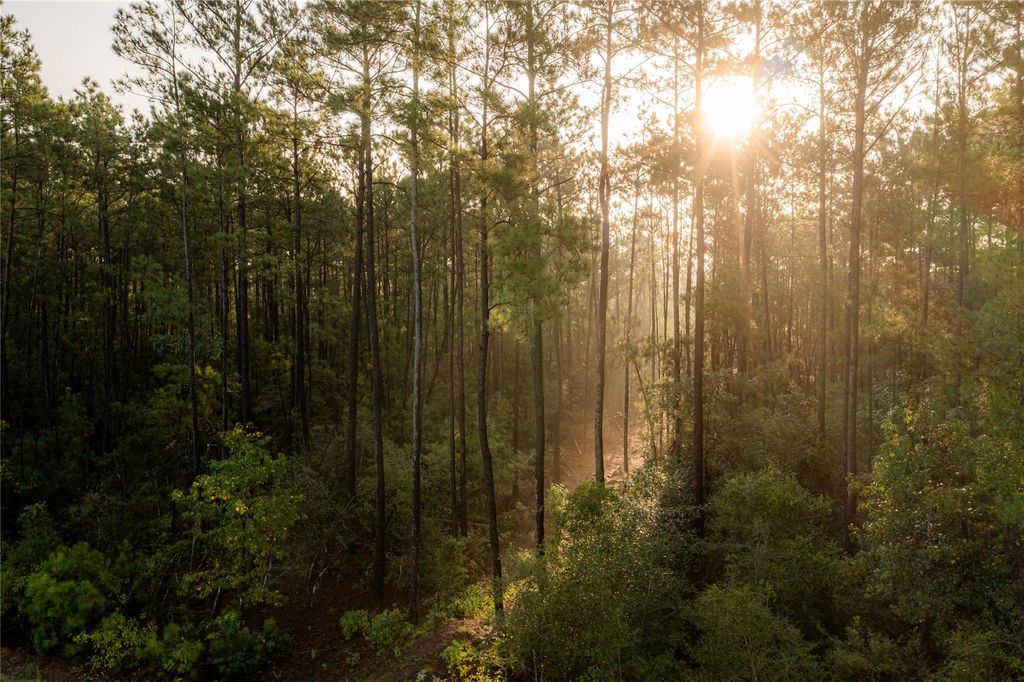 12038 Compassion Lane, Willis, TX 77378