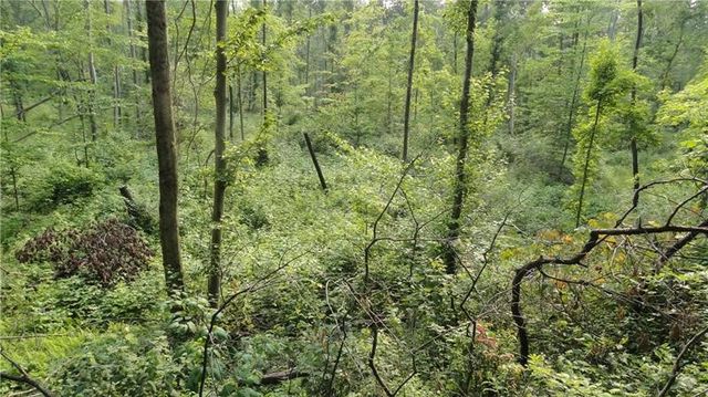 --- Pink Rd, Slippery Rock Twp, PA 16057