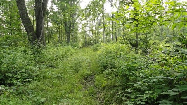 --- Pink Rd, Slippery Rock Twp, PA 16057