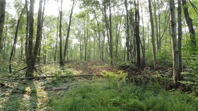 --- Pink Rd, Slippery Rock Twp, PA 16057