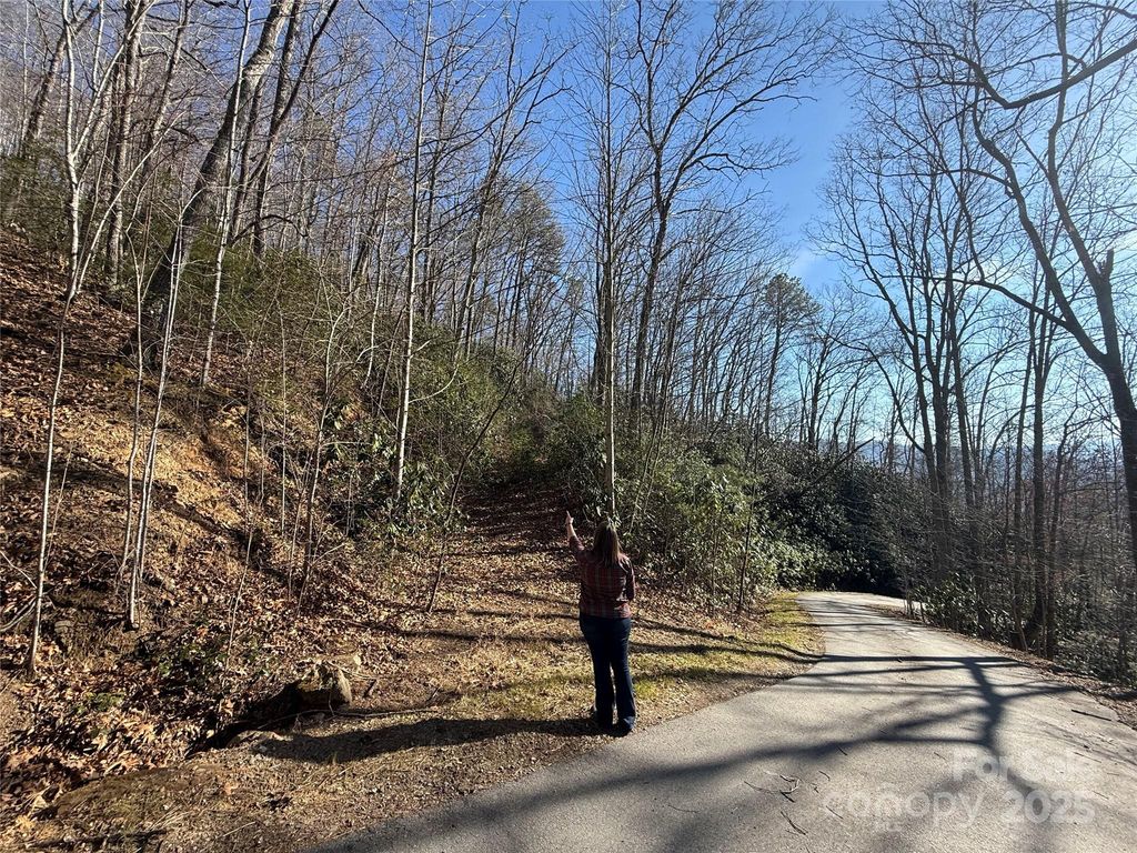Lot 27 Bernies Trail 27, Waynesville, NC 28785
