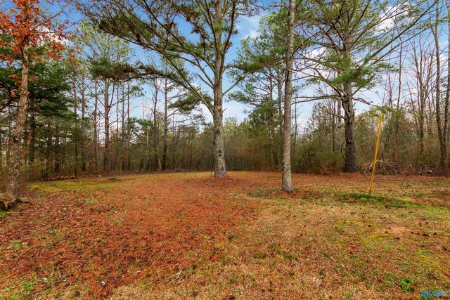 159 Greenleaf Drive, Guntersville, AL 35976