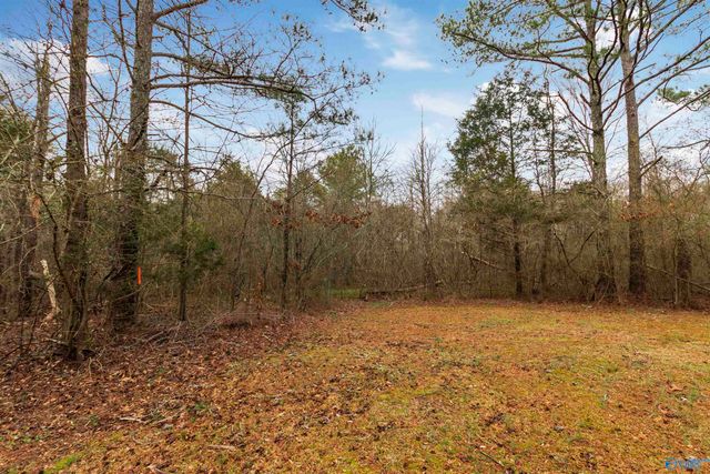 159 Greenleaf Drive, Guntersville, AL 35976