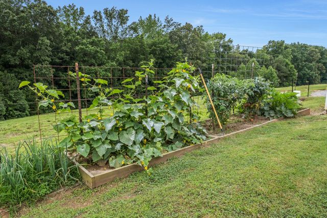 190 Carmack Dr, Lexington, TN 38351