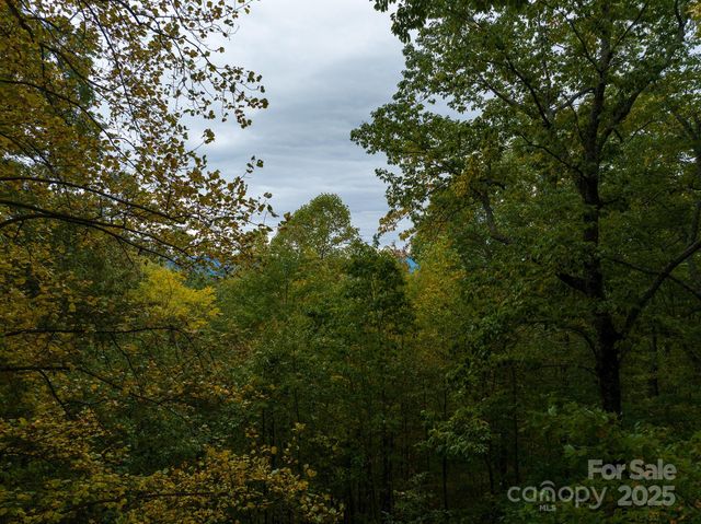 0 N Tranquility Trail 41, Union Mills, NC 28167