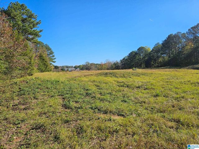316 HIGHWAY 47, Columbiana, AL 35051