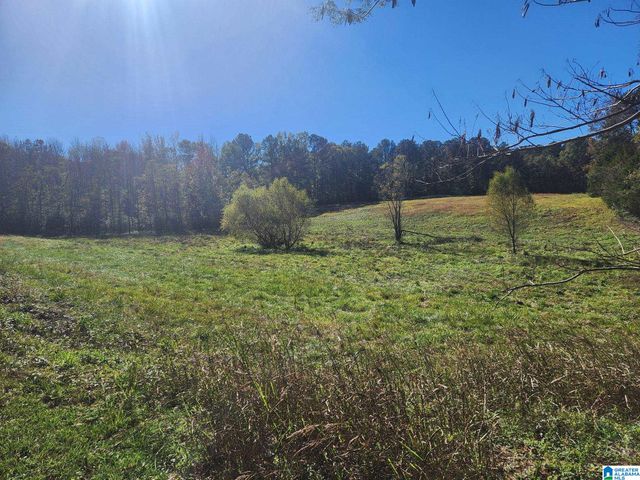 316 HIGHWAY 47, Columbiana, AL 35051