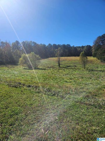 316 HIGHWAY 47, Columbiana, AL 35051