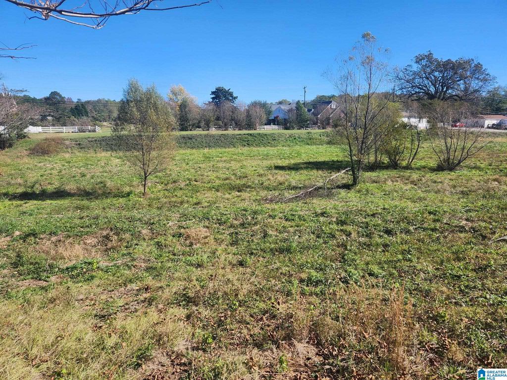 316 HIGHWAY 47, Columbiana, AL 35051