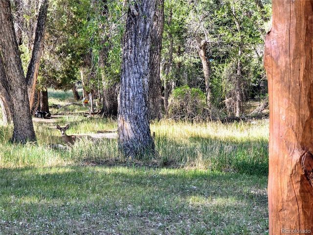 226 S San Juan Unit 10 Ave 10, Buena Vista, CO 81211