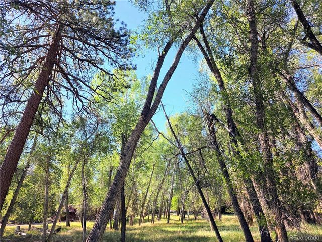 226 S San Juan Unit 10 Ave 10, Buena Vista, CO 81211