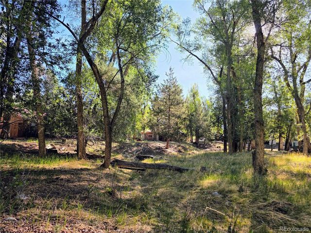 226 S San Juan Unit 10 Ave 10, Buena Vista, CO 81211