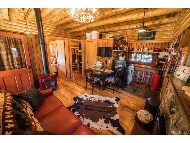 226 S San Juan Unit 10 Ave 10, Buena Vista, CO 81211