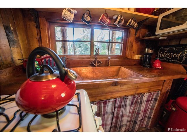 226 S San Juan Unit 10 Ave 10, Buena Vista, CO 81211