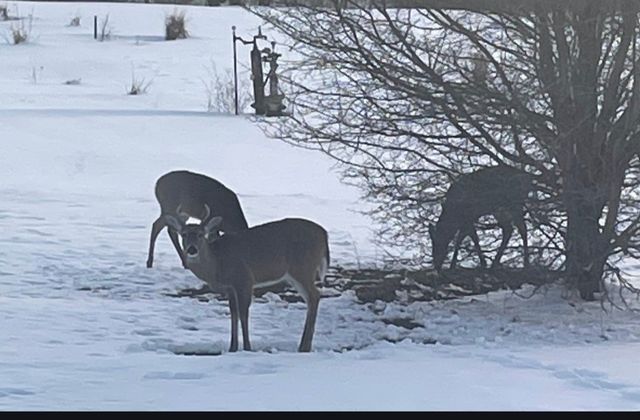 15120 HOLMES Road, Waterford, PA 16441