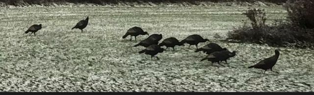 15120 HOLMES Road, Waterford, PA 16441