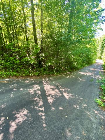 00 Deer Run, Robbinsville, NC 28771