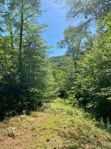 00 Deer Run, Robbinsville, NC 28771
