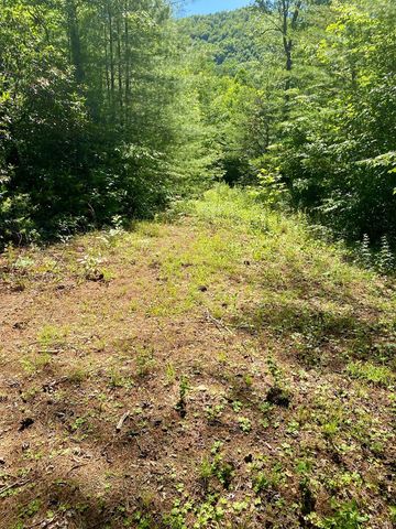 00 Deer Run, Robbinsville, NC 28771