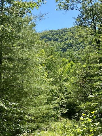 00 Deer Run, Robbinsville, NC 28771