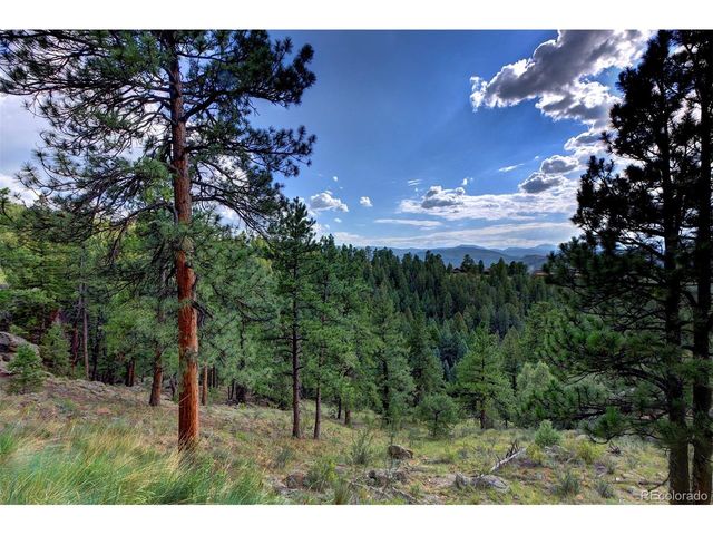 4331 Hilltop Rd, Evergreen, CO 80439