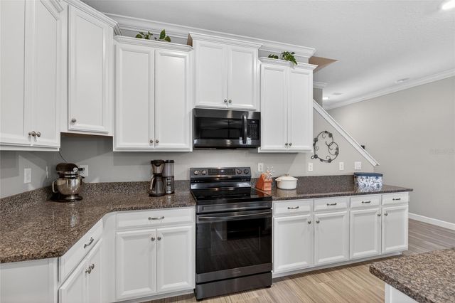 2213 CERULEAN SKY DRIVE, Lutz, FL 33558