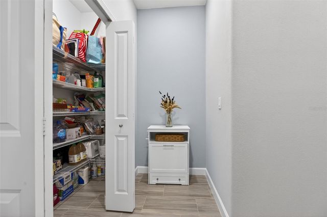 2213 CERULEAN SKY DRIVE, Lutz, FL 33558