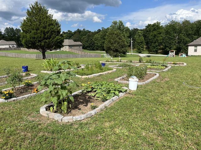 562 Double Eagle Dr, Summertown, TN 38483