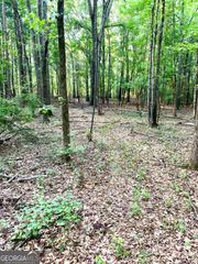 0 Archer Grove School Road TRACT B, Athens, GA 30607