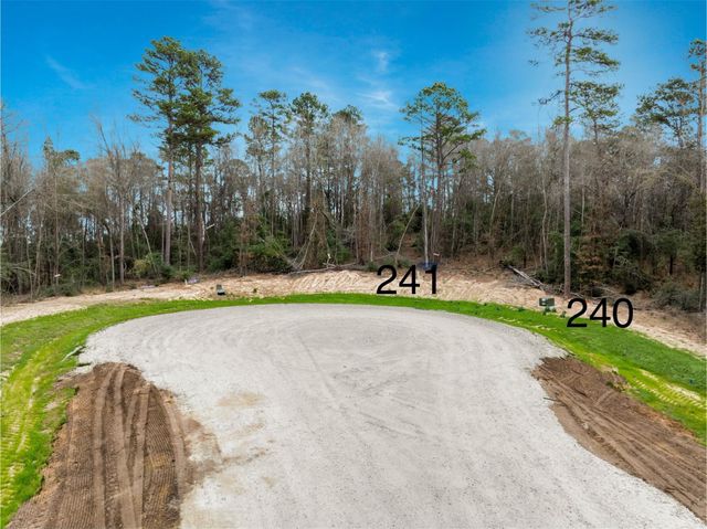 240 Hollow Hill Road, New Waverly, TX 77358