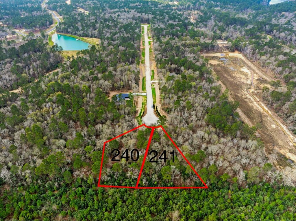 240 Hollow Hill Road, New Waverly, TX 77358