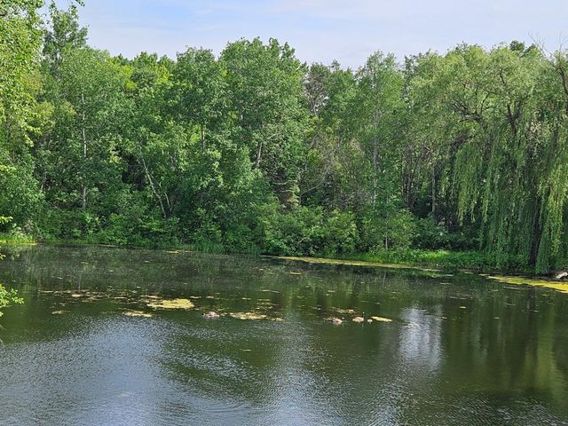 6131 Egg Lake Road N, Hugo, MN 55038