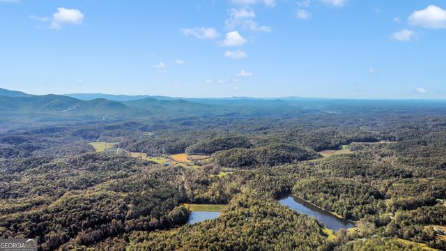 55 Mount Pleasant Drive, Ellijay, GA 30540