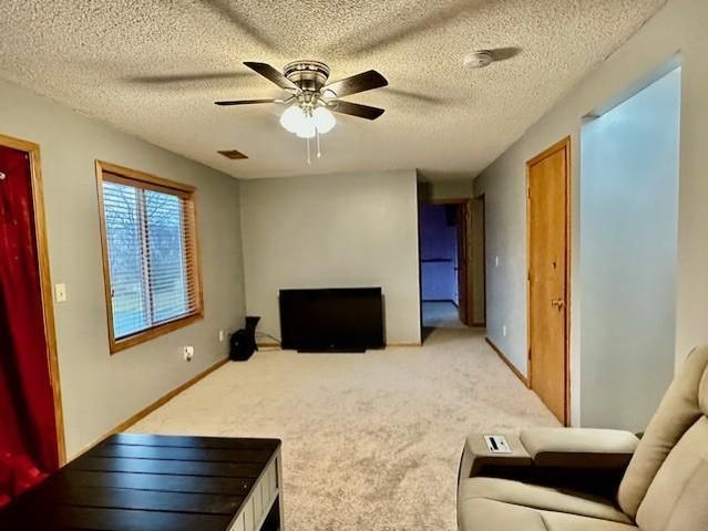 1147 142nd Lane NW, Andover, MN 55304