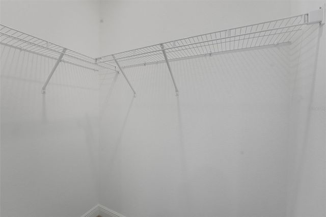 14427 CREST PALM AVENUE, Windermere, FL 34786