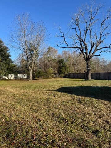 1137 M W Rickenbaker Road, Manning, SC 29102