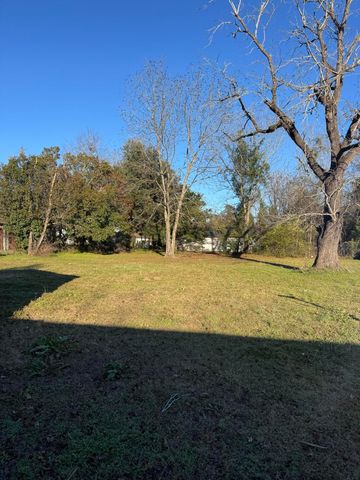 1137 M W Rickenbaker Road, Manning, SC 29102