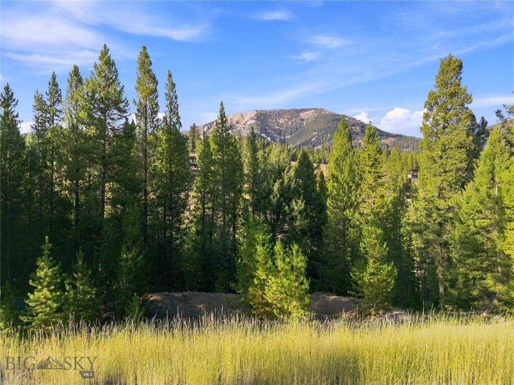 25 Little Spike, Big Sky, MT 59716 photo 5