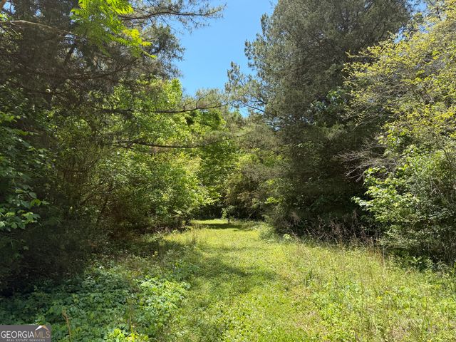 1593 Old Alabama Road, Taylorsville, GA 30178