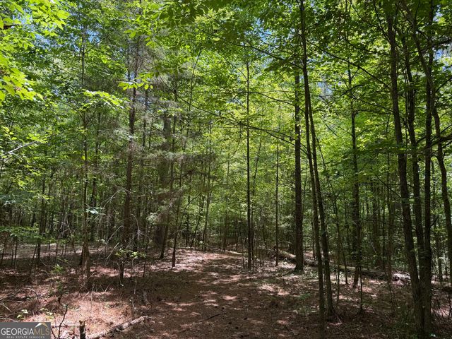 1593 Old Alabama Road, Taylorsville, GA 30178