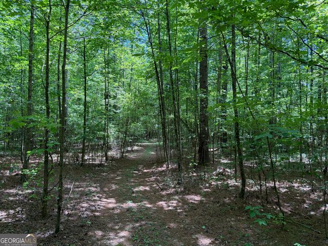 1593 Old Alabama Road, Taylorsville, GA 30178