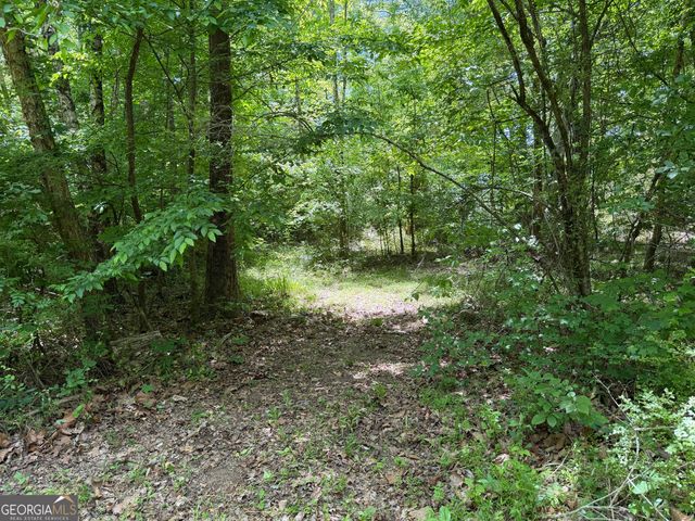 1593 Old Alabama Road, Taylorsville, GA 30178