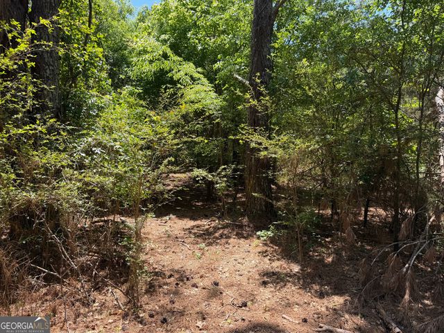 1593 Old Alabama Road, Taylorsville, GA 30178