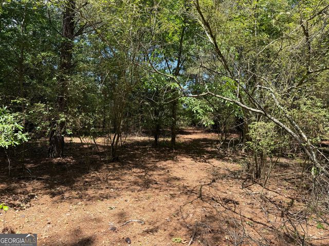 1593 Old Alabama Road, Taylorsville, GA 30178