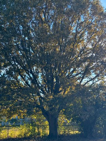 315 Wildwind Street, Gun Barrel City, TX 75156